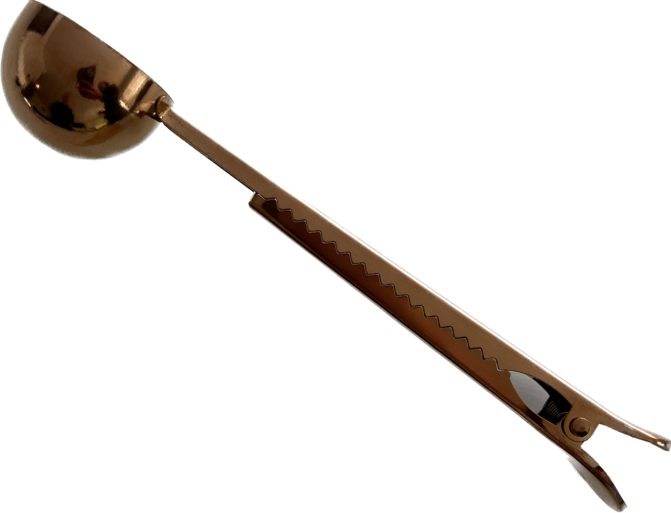 2イン1コーヒー豆スプーンとバッグクリップ